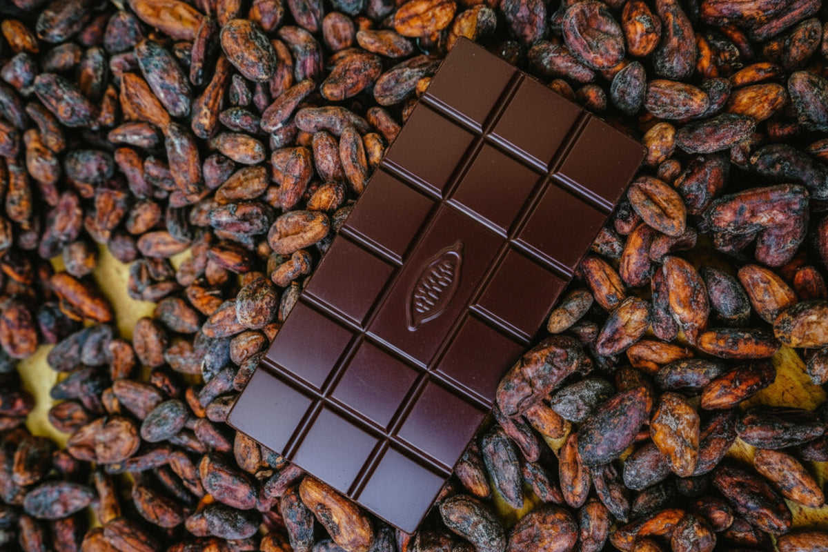 Tableta de autor sobre grano de cacao