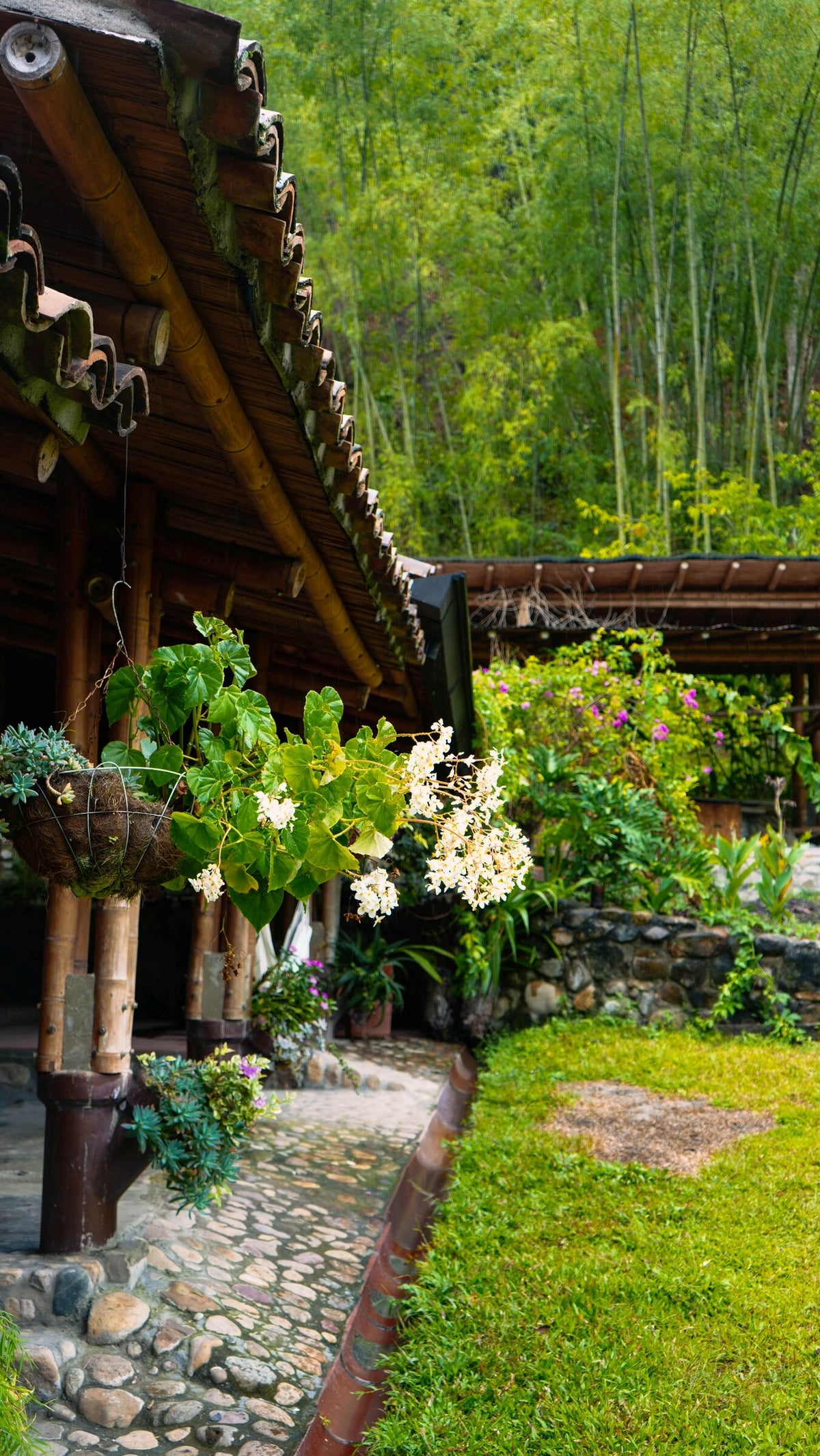 Finca de cacao en Norte de Santander